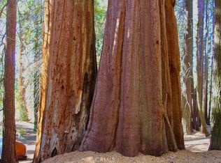 54584 Ponderosa Dr #28, Springville, CA 93265