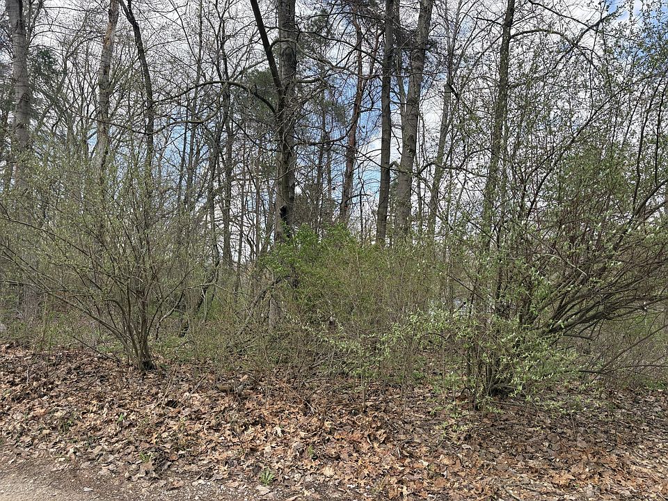 1st image of 8113 Poplar Ln