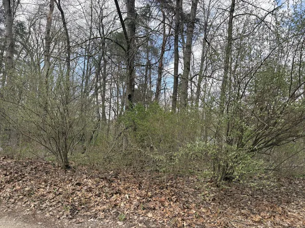 8113 Poplar Ln, Reading, MI 49274