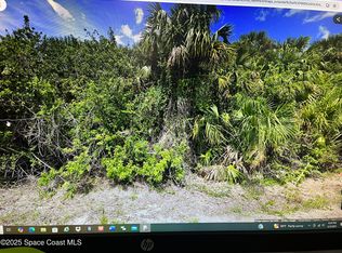 573 Fintonrod St SW, Palm Bay, FL 32908