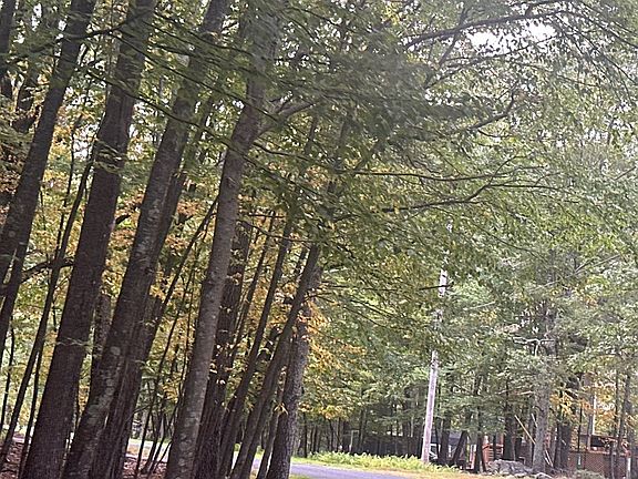 5th image of 139 Chipmunk Rd