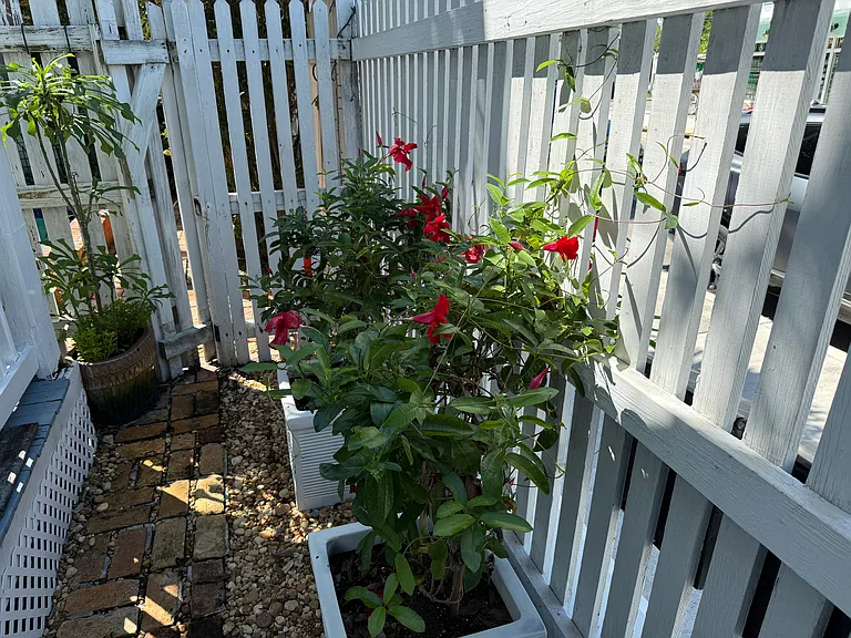 Variety of potted plants.