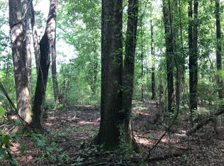 45 Old River Rd, Petal, MS 39465