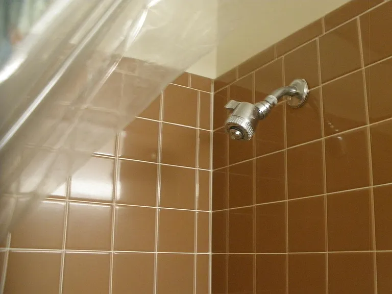 Shower head in main bath.