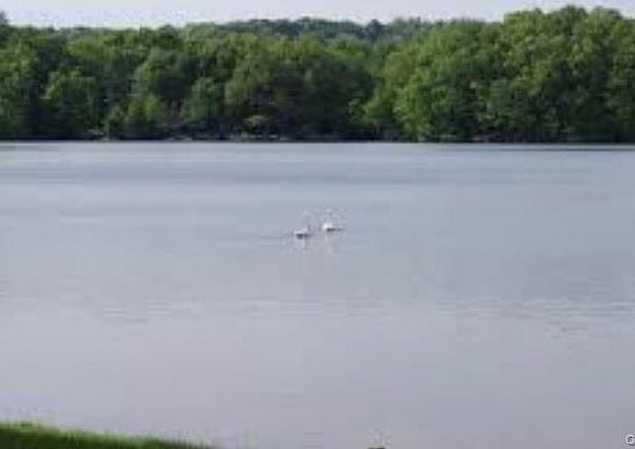 4th image of 43 Lake Road