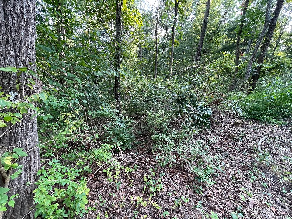 2nd image of 146 Cloudland Dr