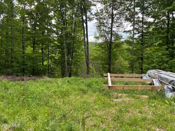 38 Hill Hollow Rd Road, Petersburgh, NY 12138