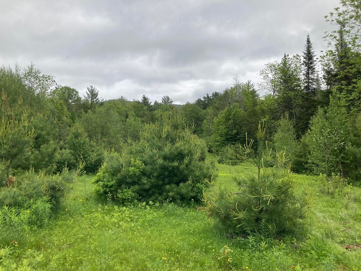 Lot 15B Main Street, Dixfield, ME 04224 Zillow