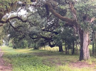 21403 Lake View Rd, Damon, TX 77430