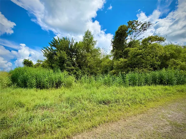 0 County Road 121 Off, Nar Rosharon, TX 77584