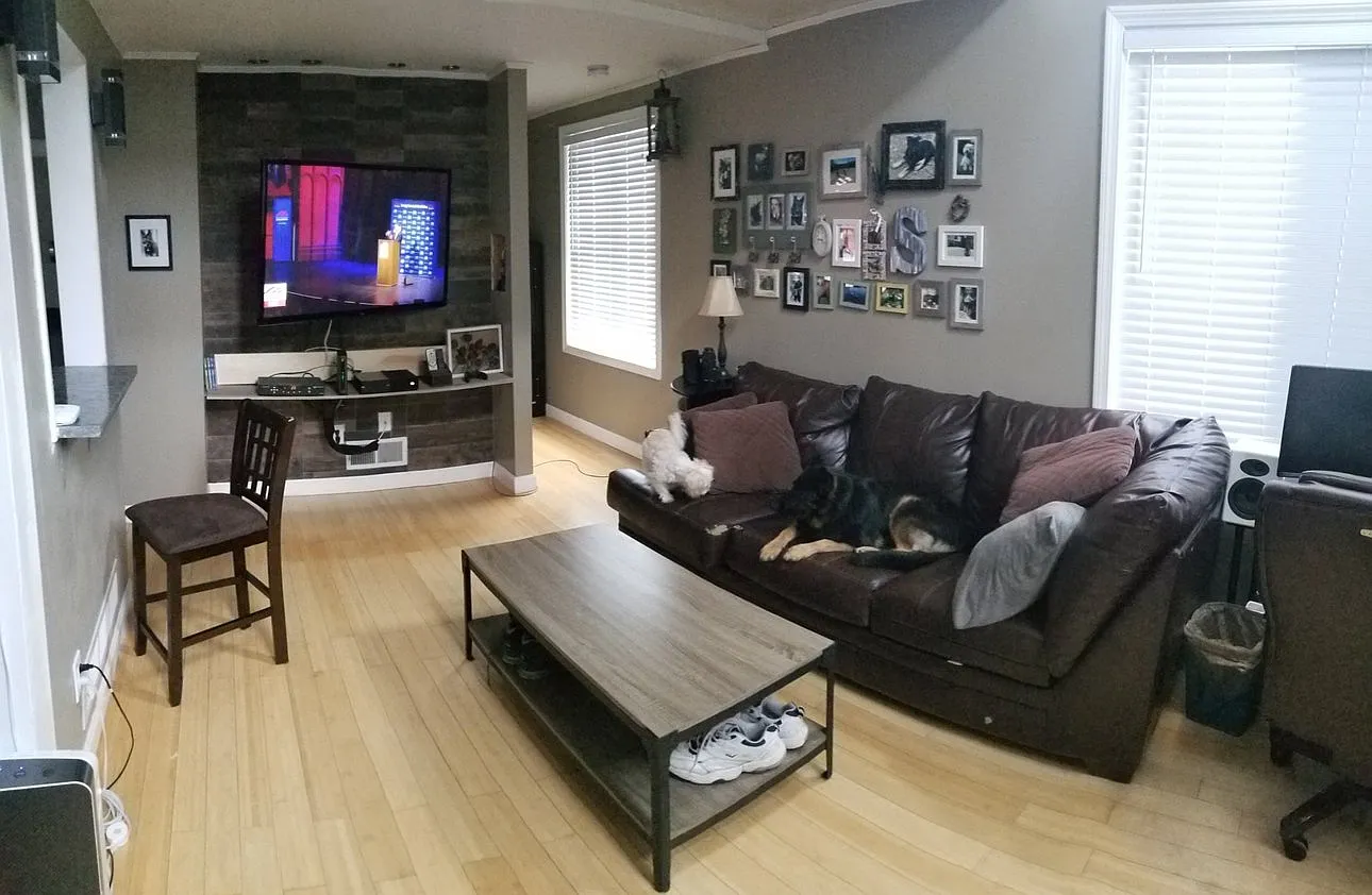 325 Mammoth Rd — Photo 1