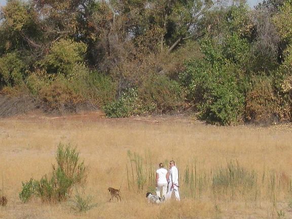 Kids and dogs love the dry river bed to play within 3 min walk