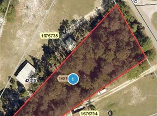 42001 Maggie Jones Rd, Paisley, FL 32767