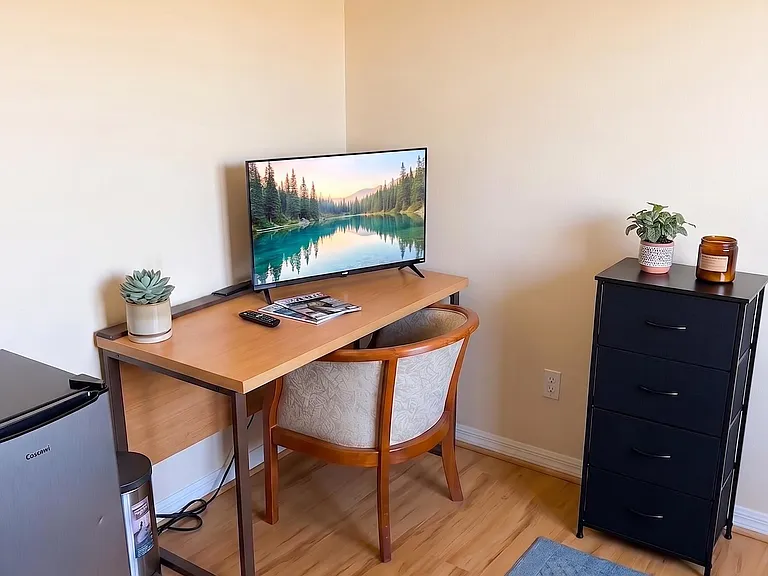 Mini-fridge, desk, TV, and dresser!