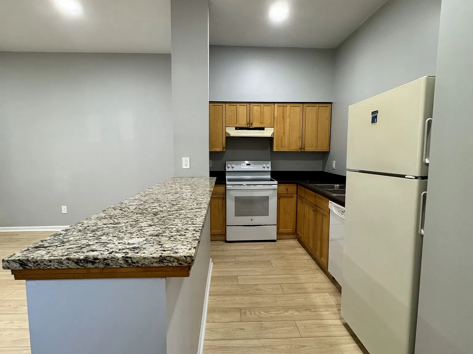 1 bed, $1,350 — Photo 3