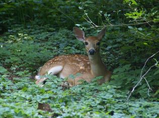 Aubrey Ln, Milton, FL 32571