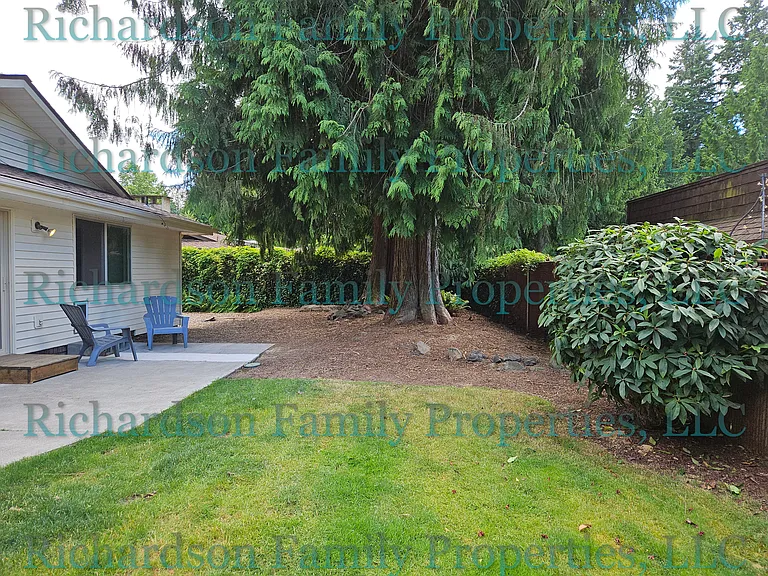 back yard - west side of house