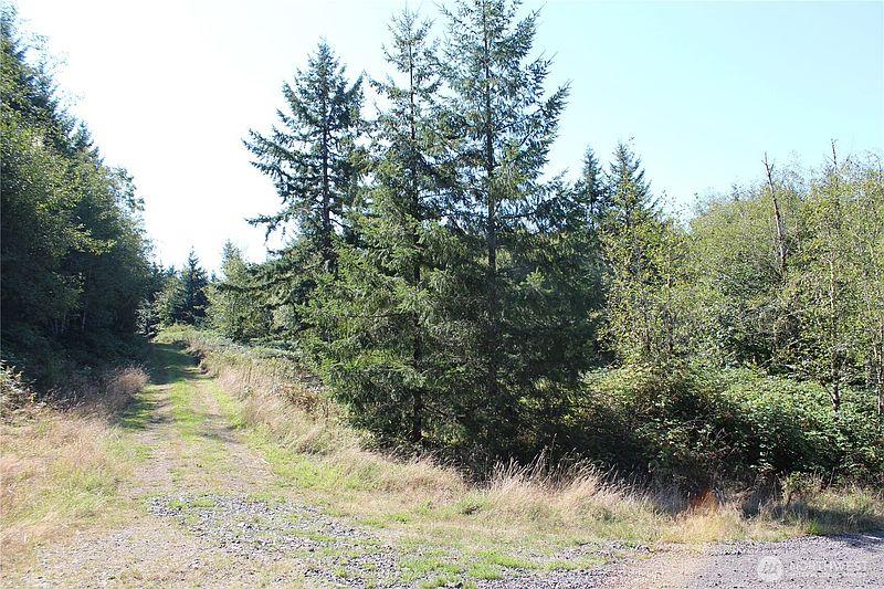2nd image of 0 N Lot H Bodine Road