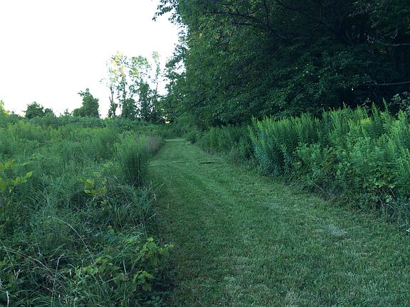 Property extends into woods