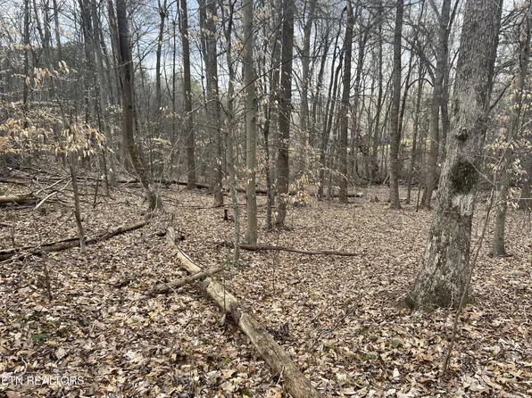 15 Delainey Dr Lot 15, Kodak, TN 37764