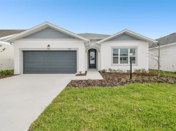 11341 Hardwood Hammock Ln, Riverview, FL 33569