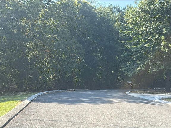 4th image of 46 Morning Glory Ln