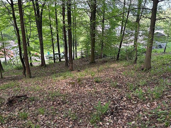 5th image of 25 Pinson Dr