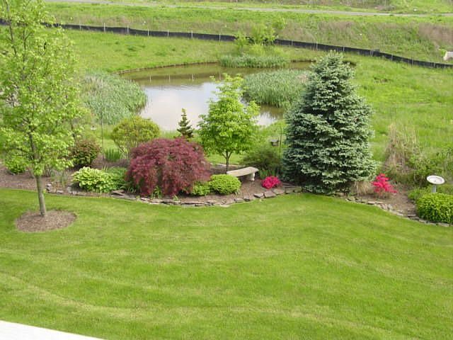 View of yard from deck...pond!
