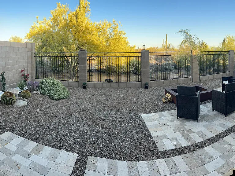 back yard east facing. The Saguaro is like 40+ ft tall, one of the tallest I have seen!