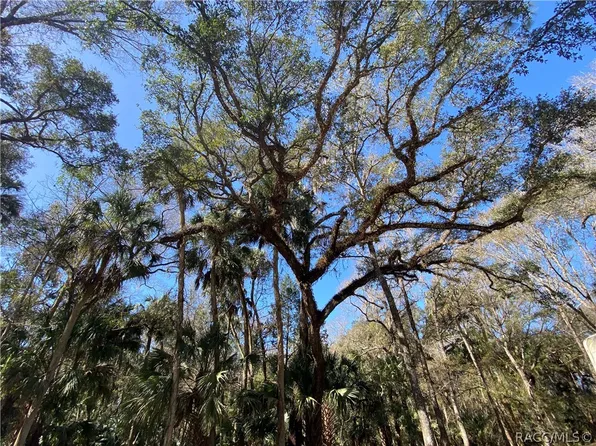 0 N Shearer St, Inglis, FL 34449