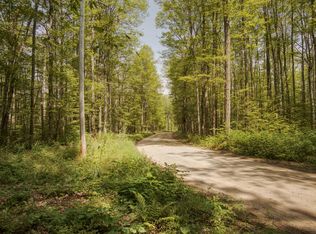 White Ash Trl, Vanderbilt, MI 49795