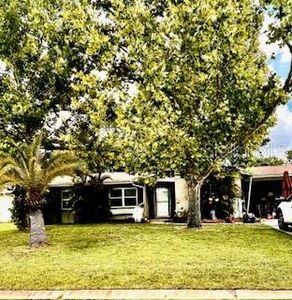 1127 Plato Ave, Orlando, FL, 32809