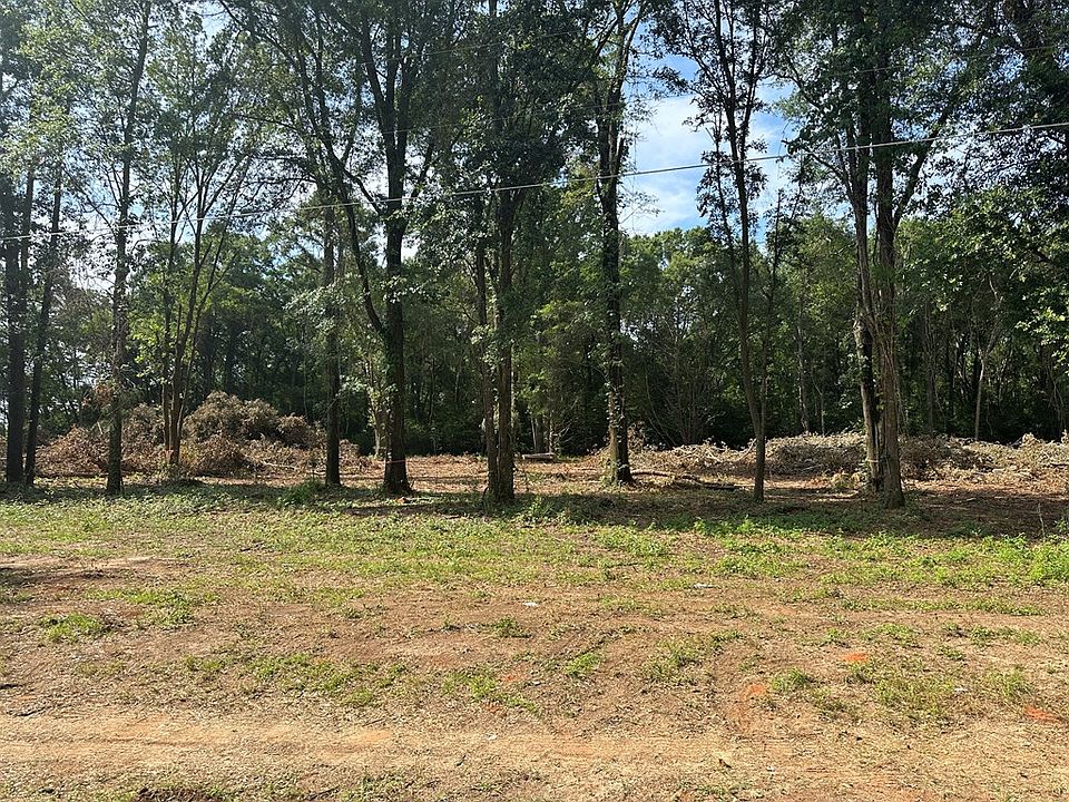 2nd image of LOT 2 Blue Springs Rd