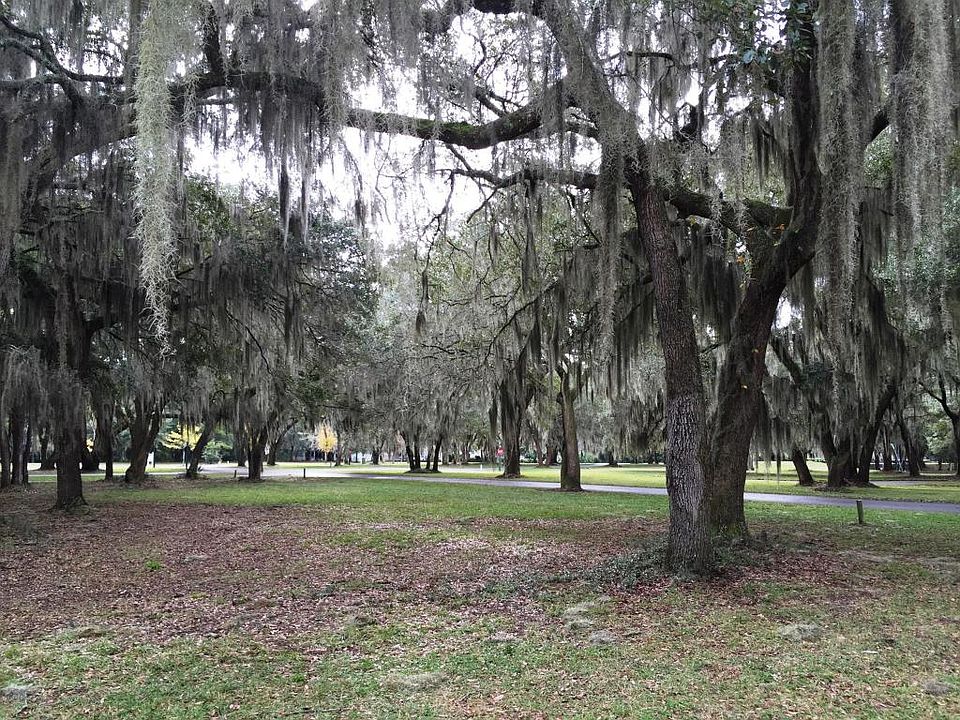 1st image of 124 Coosaw Club Dr