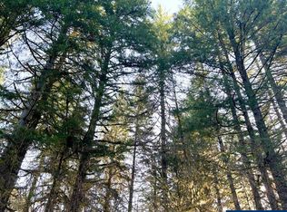 1850 Moonshine Park Rd, Logsden, OR 97357