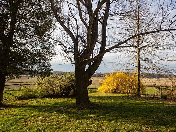 5th image of 9280 Lentz Rd Lot Wp001
