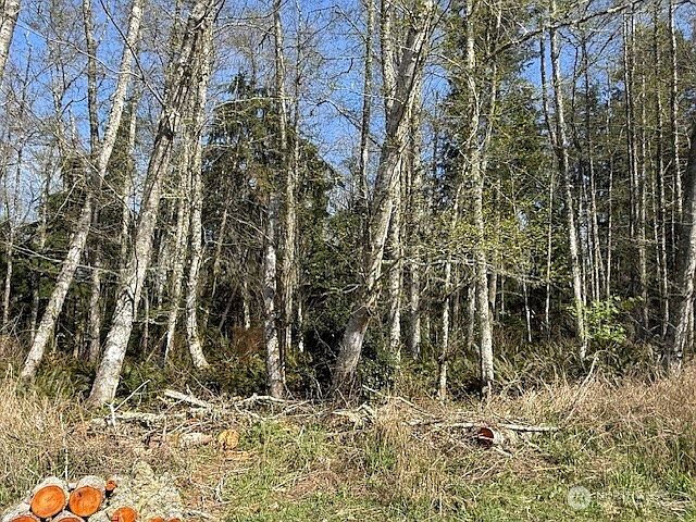 2nd image of 0 Lot 15 Ander Park Road