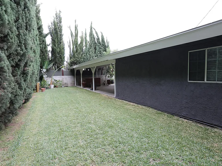 Back yard