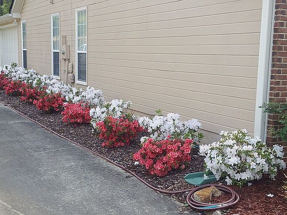 2nd image of 252 Brentwood Dr