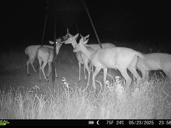 4th image of 999 One County Rd #3805