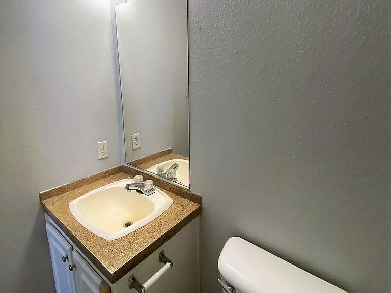 11734 Greensbrook Forest Dr — Photo 5