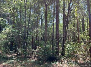 1074 W Legion Ct, Hernando, FL 34442