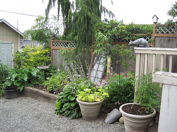 backyard garden
