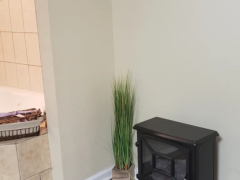 Master bath area