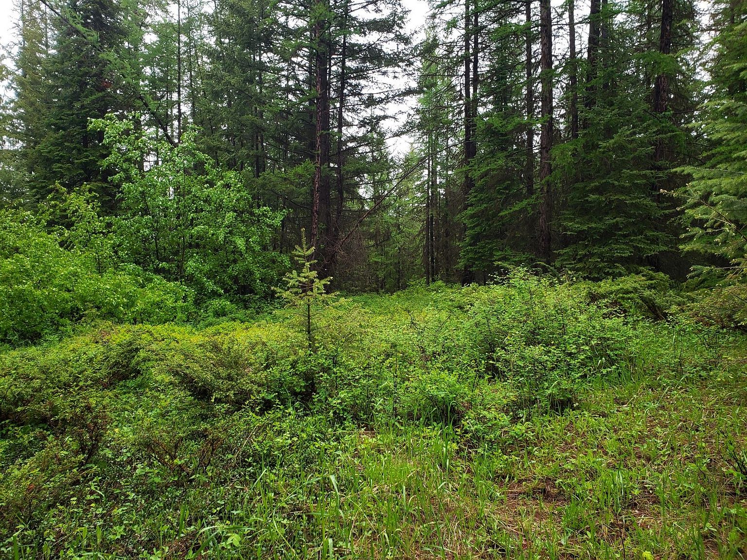 Nhn Butcher Creek Rd, Trego, MT 59934 MLS 30003066 Zillow