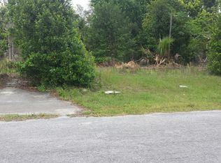 42207 Ash Ave, Deland, FL 32720