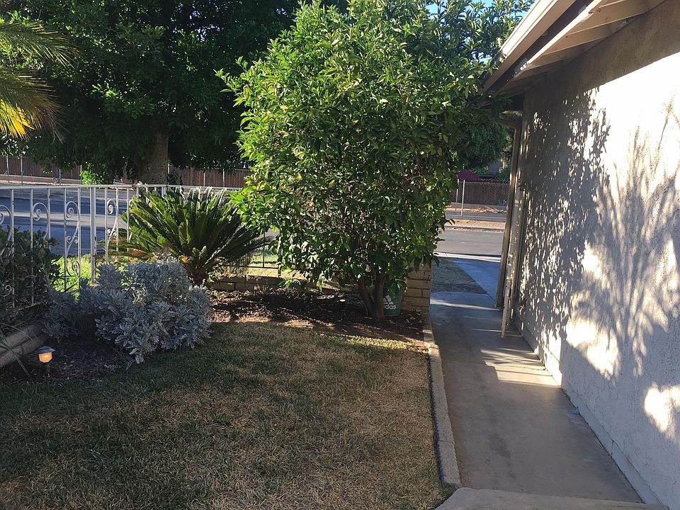 View from front door by court-yard.