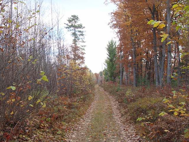 1st image of On Plummer Lake Rd