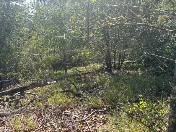 LOT 1541 Pahoiki Ln, Bastrop, TX 78602