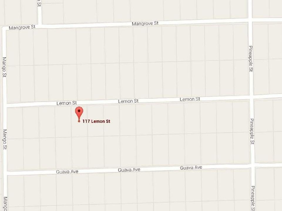 Google Map Photo JPEG
